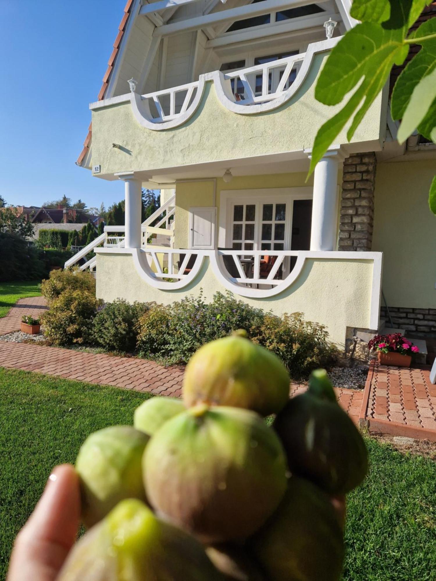 Balaton Apartman Fuered Balatonfured Luaran gambar